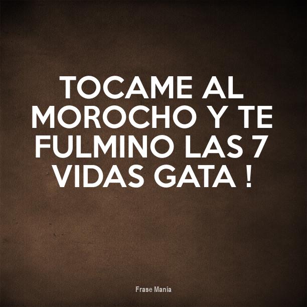 Cartel Para Tocame Al Morocho Y Te Fulmino Las 7 Vidas Gata