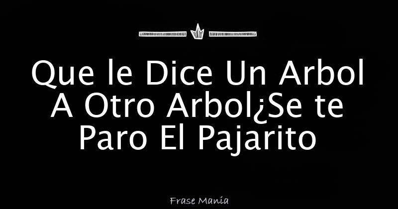Que le Dice Un Arbol A Otro Arbol¿Se te Paro El Pajarito