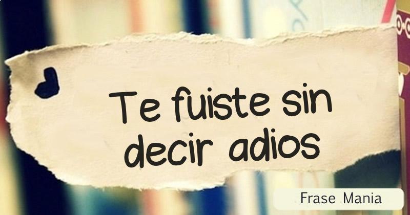 Te fuiste sin decir adios